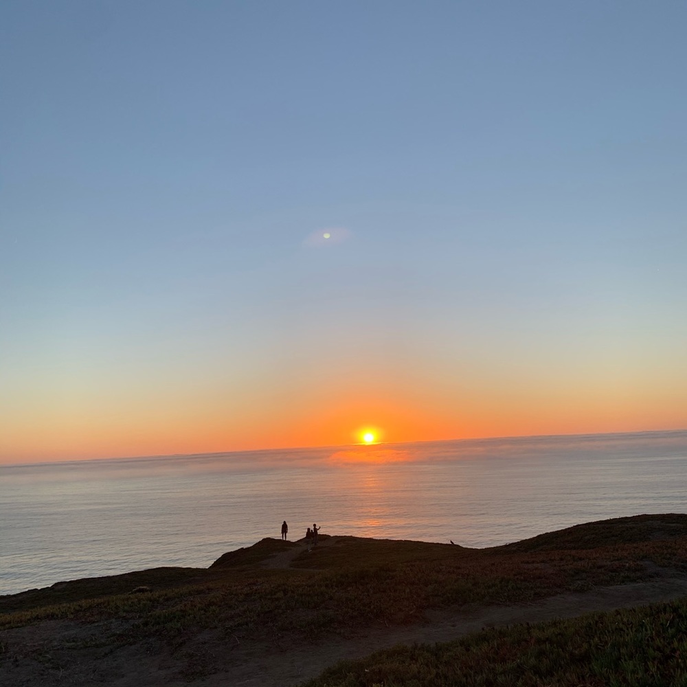 Meet your Posher, Elena